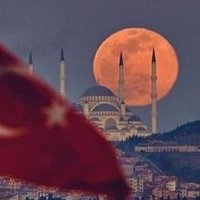 SAMİ ÜSTÜNSALİH (@samstnsalh50392) 's Twitter Profile