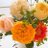 mmloverose83