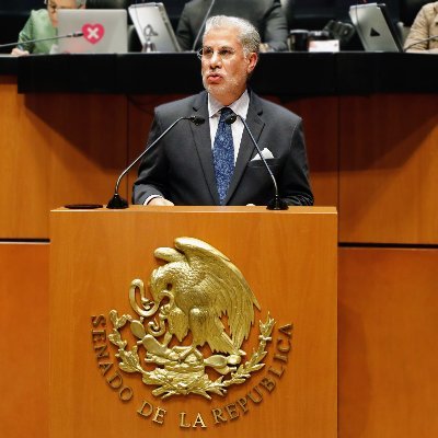 Asesor y consultor político. Exsenador de la República, exsecretario de Turismo de la CDMX, exdiputado federal y exdiputado local de la CDMX