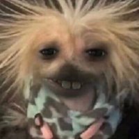 sushi (@landeroszaait) 's Twitter Profile