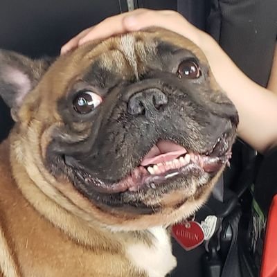 calebUtMatar's profile picture. Combat Vet, FF, Broken Hearted Patriot