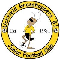 UckfieldGrasshoppers (@ugrasshoppers81) 's Twitter Profile