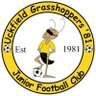 UGrasshoppers81's profile picture. 2017 FA CS Development Club Award 🥇 Winner, 2018 and 2019 FA CS Club Award 🥇 Winner (Boys & Girls)Junior Football Club. Proud partners of AFC Uckfield Town