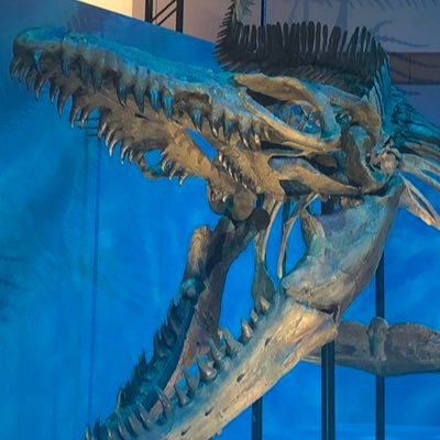 bunmaru08bone's profile picture. 文具、手帳、ノート、万年筆、ボールペン、革、ベランダ日向ぼっこが好き/フォーマットがちがちの手帳より自由度高いノートの方が好き/ノート毎にペンを買いがち/Excelで自作リフィル作る人/システム手帳は全サイズ持ち/plotter、smython、cypris、freaks&co、stalogy、sunnynote/