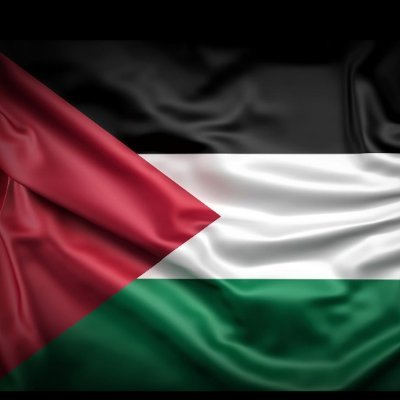 SofiShaik313's profile picture. اِنْ يَّنْصُرْكُمُ اللّٰهُ فَلَا غَا لِبَ لَـكُمْ