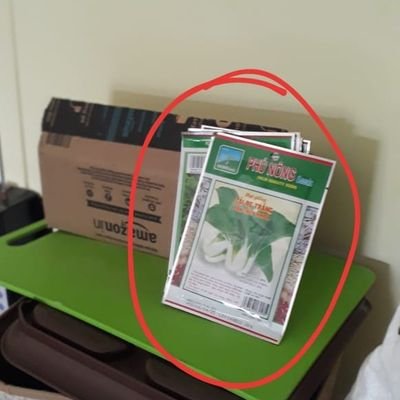 anuragk4682387's profile picture. Jjjk