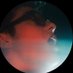 lanerogerr (@lanerogerr) Twitter profile photo lanerogerr (@lanerogerr) Twitter profile photo