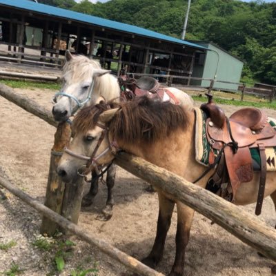 競馬の楽しみ方は無限大🏇 代表@chusonwajun