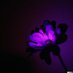 no (@thesingularus) Twitter profile photo no (@thesingularus) Twitter profile photo