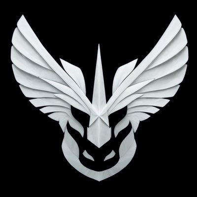 Angel Force of Africa (AFOA)さんのプロフィール画像