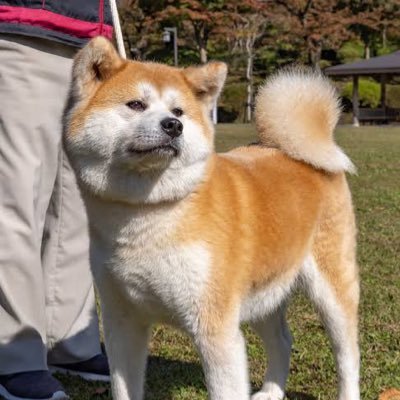 G2usさんのプロフィール画像