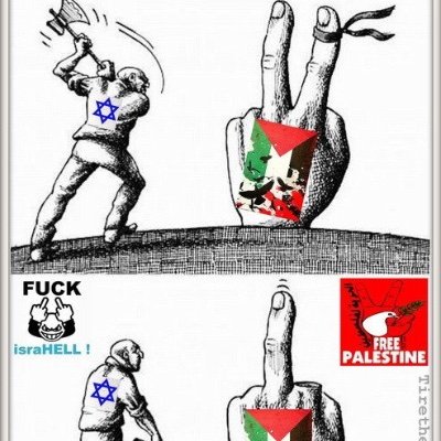 Nouri2170541306's profile picture. 🇹🇳🇵🇸