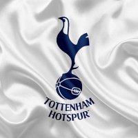 Tottenham Hotspur Fans(@SpursfansAfrica) 's Twitter Profile Photo