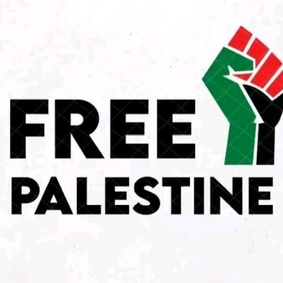 amir1ahmed's profile picture. 