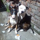 Jamie Leake - @Jamieleake24 - Twitter