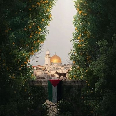MyComfertPlace's profile picture. Maybe I'm your friend.
Free Palestine 🇵🇸