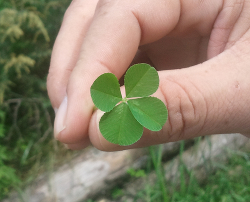 cr2amcr2am's profile picture. 산울림/CREAM/LAYLA/상식이 통하는 세상/Dominant motion