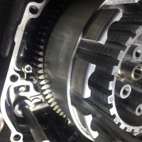 Charles Martel (@martelchar8660) 's Twitter Profile Photo