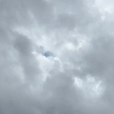 n_plpm's profile picture. 雑多
