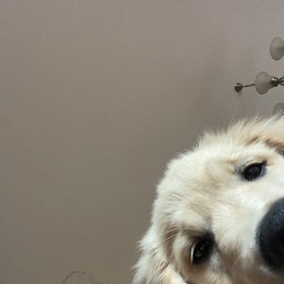 manydukch's profile picture. 