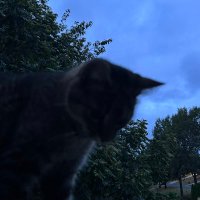 𝐿𝒾𝒶𝓂 (@liamgazzo) 's Twitter Profile Photo 𝐿𝒾𝒶𝓂 (@liamgazzo) 's Twitter Profile Photo