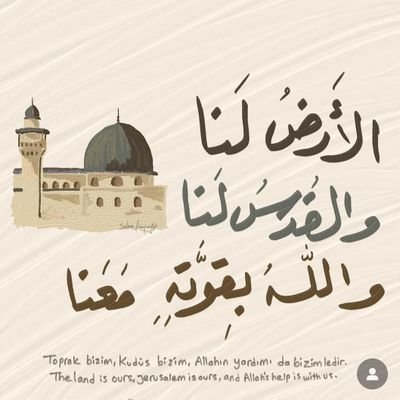 mohamedsabri120's profile picture. stand with palastine