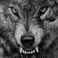 Wollfy (@dockyyyyyyyyy) 's Twitter Profile Photo