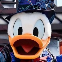 きいろ (@yhsak2) 's Twitter Profile