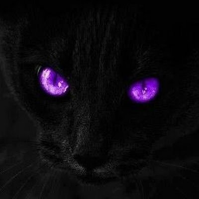 cs11lkGSVU80860's profile picture. 