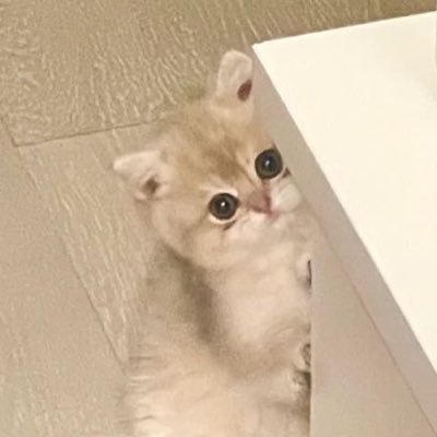 tさんのプロフィール画像