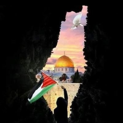 marwanajeeb12's profile picture. 