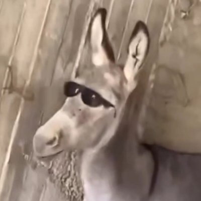 Tarpatate's profile picture. 