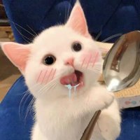 呂妞妞 (@luniuniu3) 's Twitter Profile