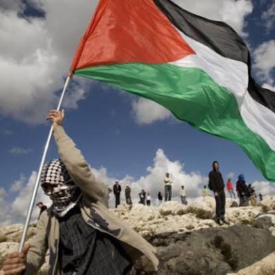 Hatice_Kuytul's profile picture. 