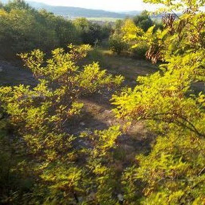 Supko8's profile picture. 