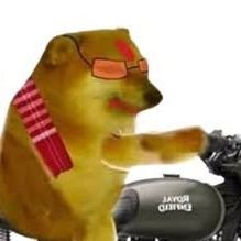 stories_reel's profile picture. where are you ? 🤔