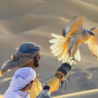 G N A D (@8naaad_) Twitter profile photo