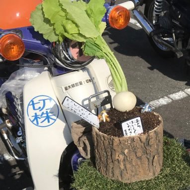 luckyandtanokki's profile picture. 娑婆で10年活動したら喋れるように なったやで。 なおキャラが確立していない模様