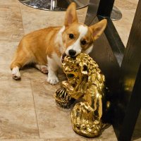 ππΊπ² sleepy πΊπ²π (@00sleepy00) 's Twitter Profile