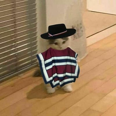 kocadaMJ's profile picture. 