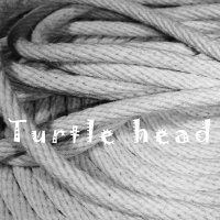 Turtle head relaxation (@turtleheadmassa) 's Twitter Profile