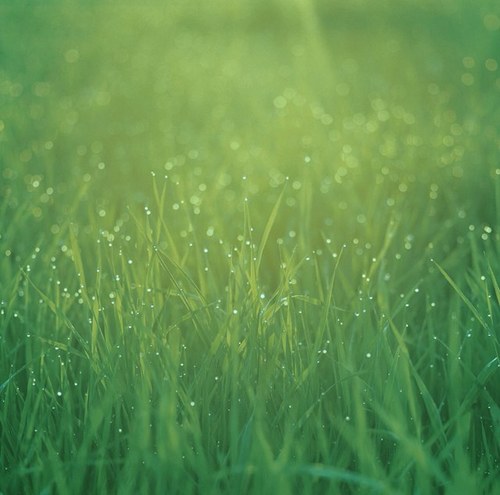 c0atza's profile picture. 