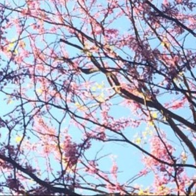 kshuyler's profile picture. Bye, Twitter. Tweets shared only my views.