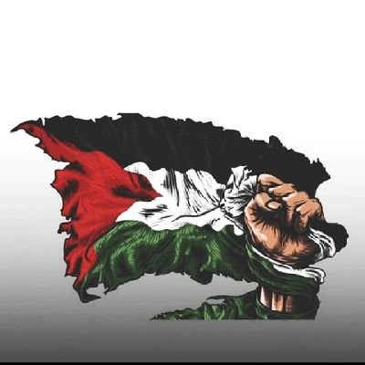 ShafnaSaif's profile picture. RMU-49