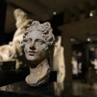 🍄 (@zeyyyysu) Twitter profile photo