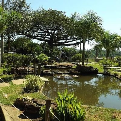 Niltinhoreiss's profile picture. DE RT 🔄 divulguem