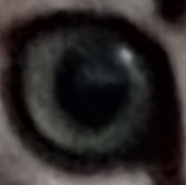 odalysio's profile picture. 