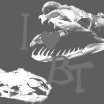 Remred_LoveBTさんのプロフィール画像