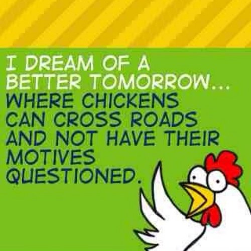 bose275's profile picture. 