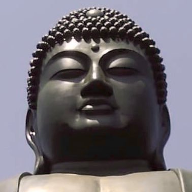 maejii69's profile picture. 